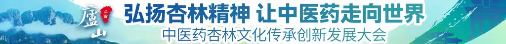 吉吉操逼中医药杏林文化传承创新发展大会